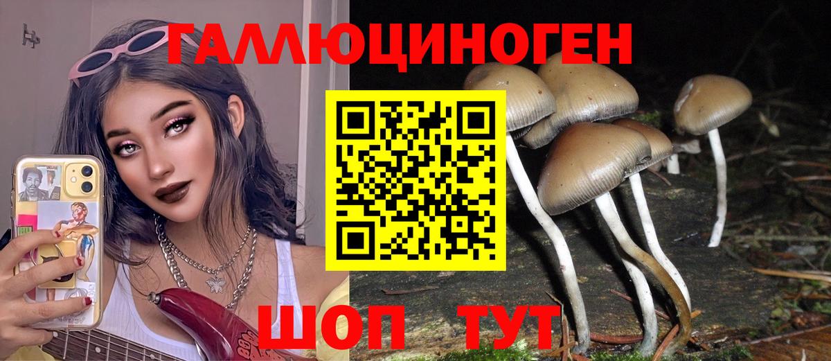 Галлюциногенные грибы мицелий  Вход с VPN  Новотроицк  Псилоцибиновые грибы Cubensis 