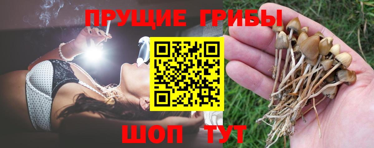 Меф мяу мяу Новотроицк
